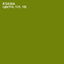 #72830A - Trendy Green Color Image