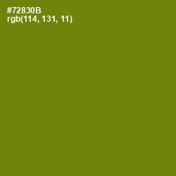 #72830B - Trendy Green Color Image