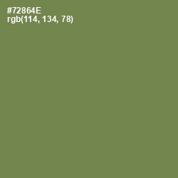 #72864E - Glade Green Color Image