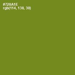 #728A1E - Trendy Green Color Image