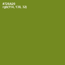 #728A20 - Wasabi Color Image