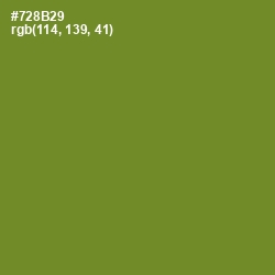 #728B29 - Wasabi Color Image