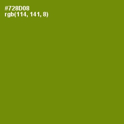#728D08 - Limeade Color Image