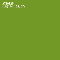 #729825 - Olive Drab Color Image
