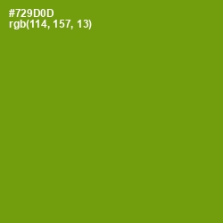 #729D0D - Limeade Color Image