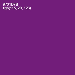 #731D7B - Honey Flower Color Image