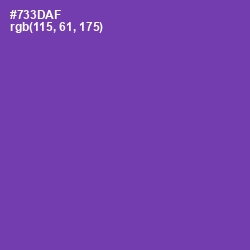 #733DAF - Royal Purple Color Image