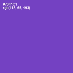 #7341C1 - Fuchsia Blue Color Image