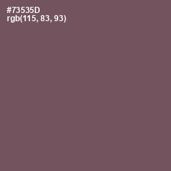 #73535D - Russett Color Image