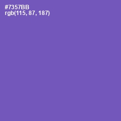 #7357BB - Blue Violet Color Image