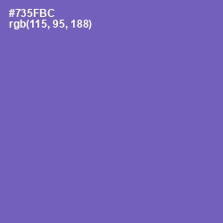 #735FBC - Blue Violet Color Image