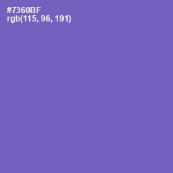 #7360BF - Deluge Color Image