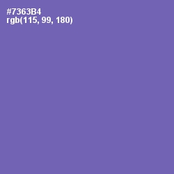 #7363B4 - Deluge Color Image