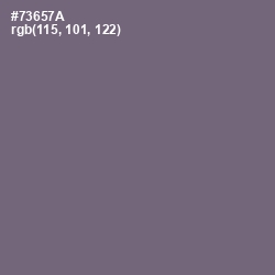 #73657A - Old Lavender Color Image
