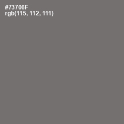 #73706F - Limed Ash Color Image
