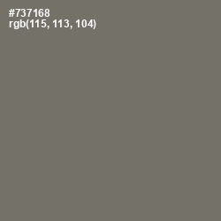 #737168 - Limed Ash Color Image