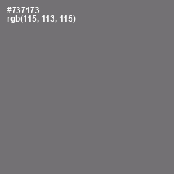 #737173 - Tapa Color Image