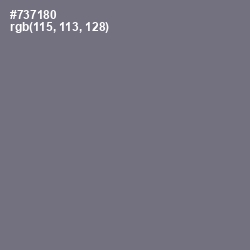 #737180 - Storm Gray Color Image