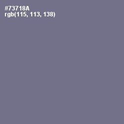 #73718A - Storm Gray Color Image