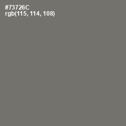 #73726C - Limed Ash Color Image