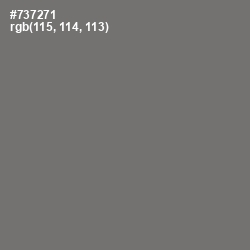 #737271 - Tapa Color Image