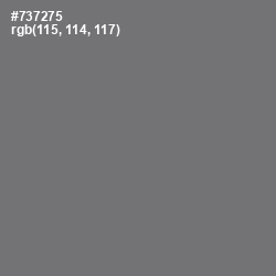 #737275 - Tapa Color Image
