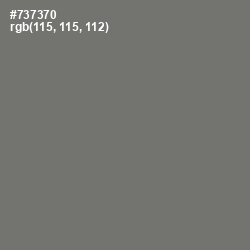 #737370 - Tapa Color Image