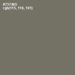 #737465 - Limed Ash Color Image