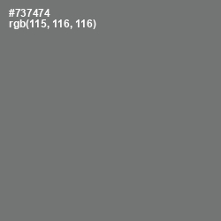 #737474 - Tapa Color Image