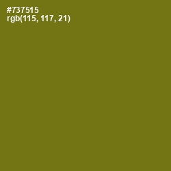 #737515 - Olivetone Color Image
