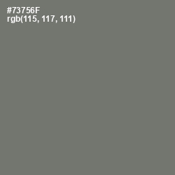 #73756F - Limed Ash Color Image