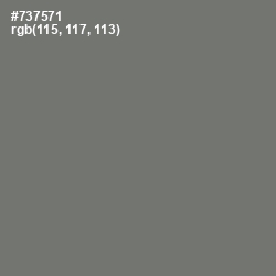 #737571 - Tapa Color Image