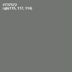 #737572 - Tapa Color Image