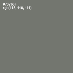 #73766F - Limed Ash Color Image