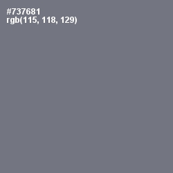 #737681 - Storm Gray Color Image