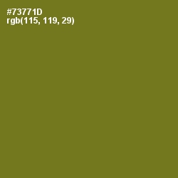 #73771D - Olivetone Color Image