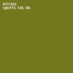 #73781E - Olivetone Color Image