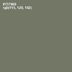 #737866 - Limed Ash Color Image