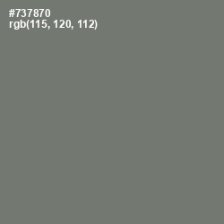 #737870 - Tapa Color Image