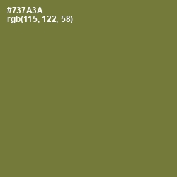 #737A3A - Pesto Color Image