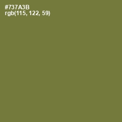 #737A3B - Pesto Color Image