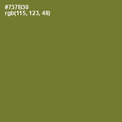 #737B30 - Pesto Color Image