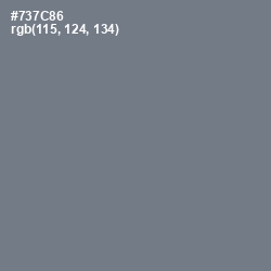 #737C86 - Rolling Stone Color Image