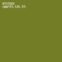 #737D25 - Crete Color Image