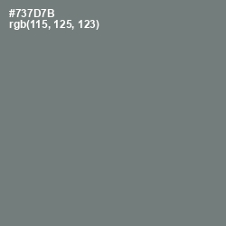 #737D7B - Boulder Color Image