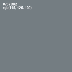 #737D82 - Rolling Stone Color Image