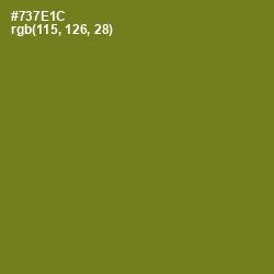 #737E1C - Olivetone Color Image