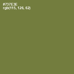 #737E3E - Pesto Color Image