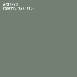 #737F73 - Tapa Color Image