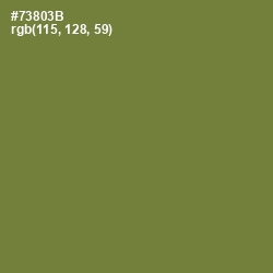 #73803B - Wasabi Color Image